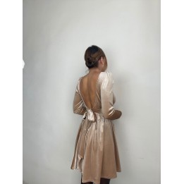 Velvet Corset Dress - Pearly Nude | Portobello Road Shop